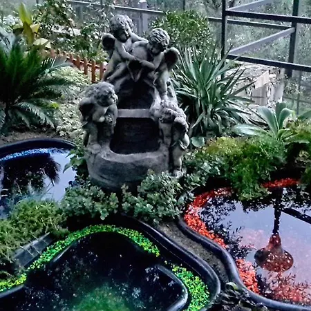 Villa Angel *